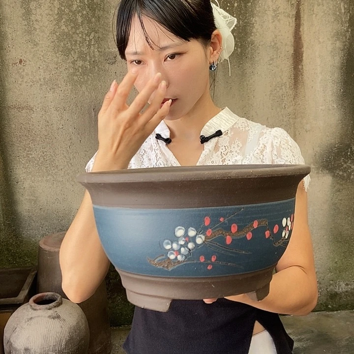 紫砂花盆28花盆花盆花盆花盆花盆后