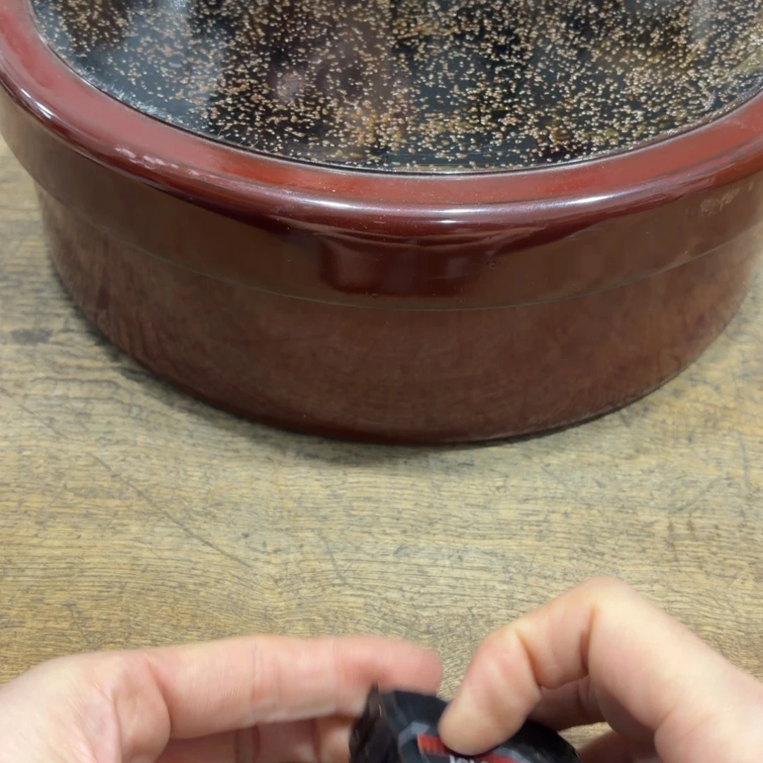 茶茶茶茶茶茶茶茶茶茶