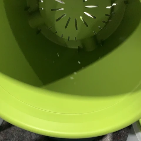 红陶5加果绿无托3个