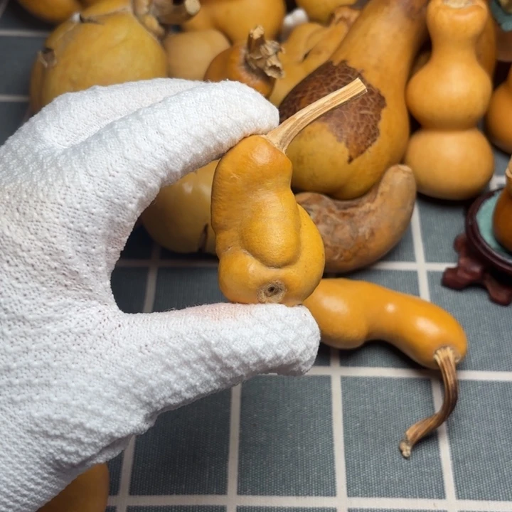 无***雨葫芦风裂印666666666