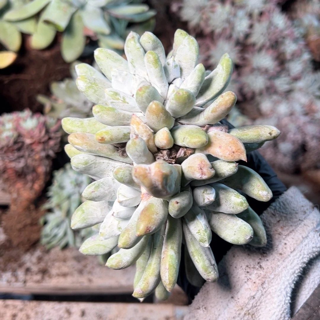 8009哈哈哈哈哈哈哈