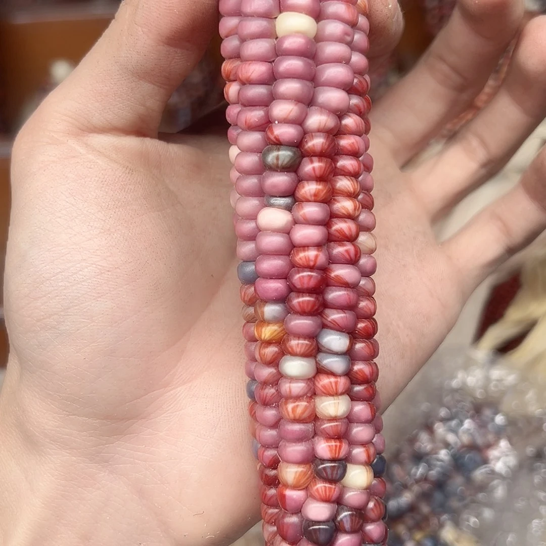 ?****?文玩玉米毛料精品