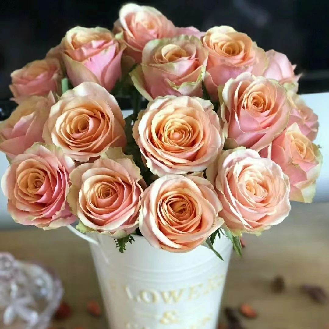 氧花季 迪威娜玫瑰18支+2支防损 收到先醒花 拍2单升级快递