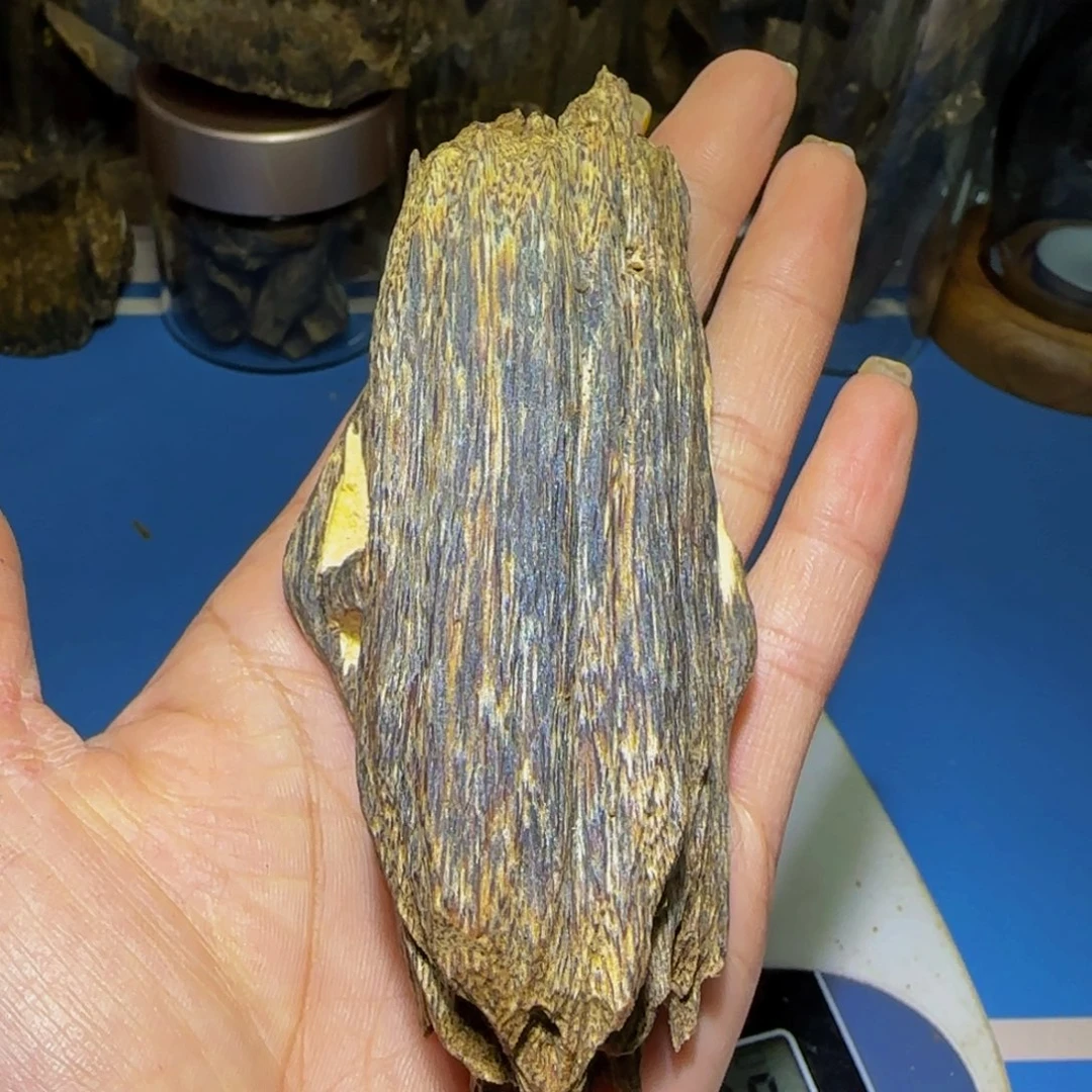 沉香手把件雨*沉香奇楠尖峰岭吊核老料46克