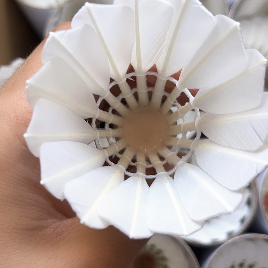 无标9p77速12只全圆全羽