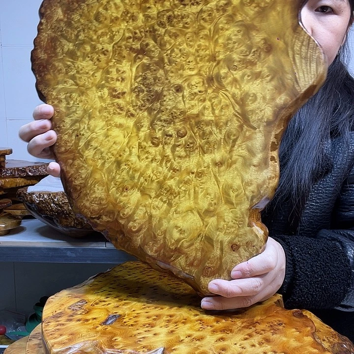 宝***资黄金樟黄金樟干泡