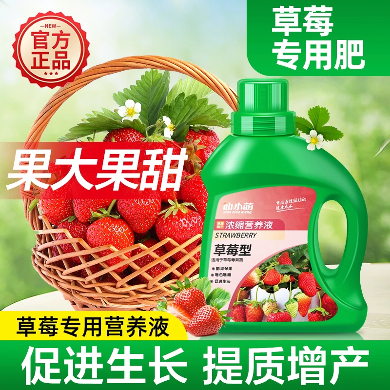 草莓专用营养液肥料专用肥盆栽有机水溶肥专用肥料家用种瓜果增产