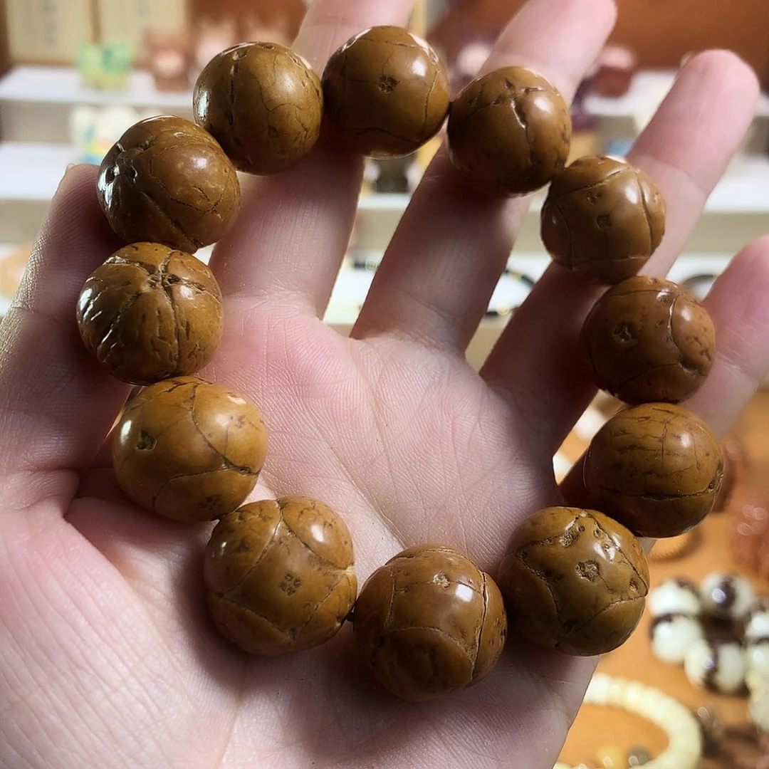 吊坠菩提根/象牙果