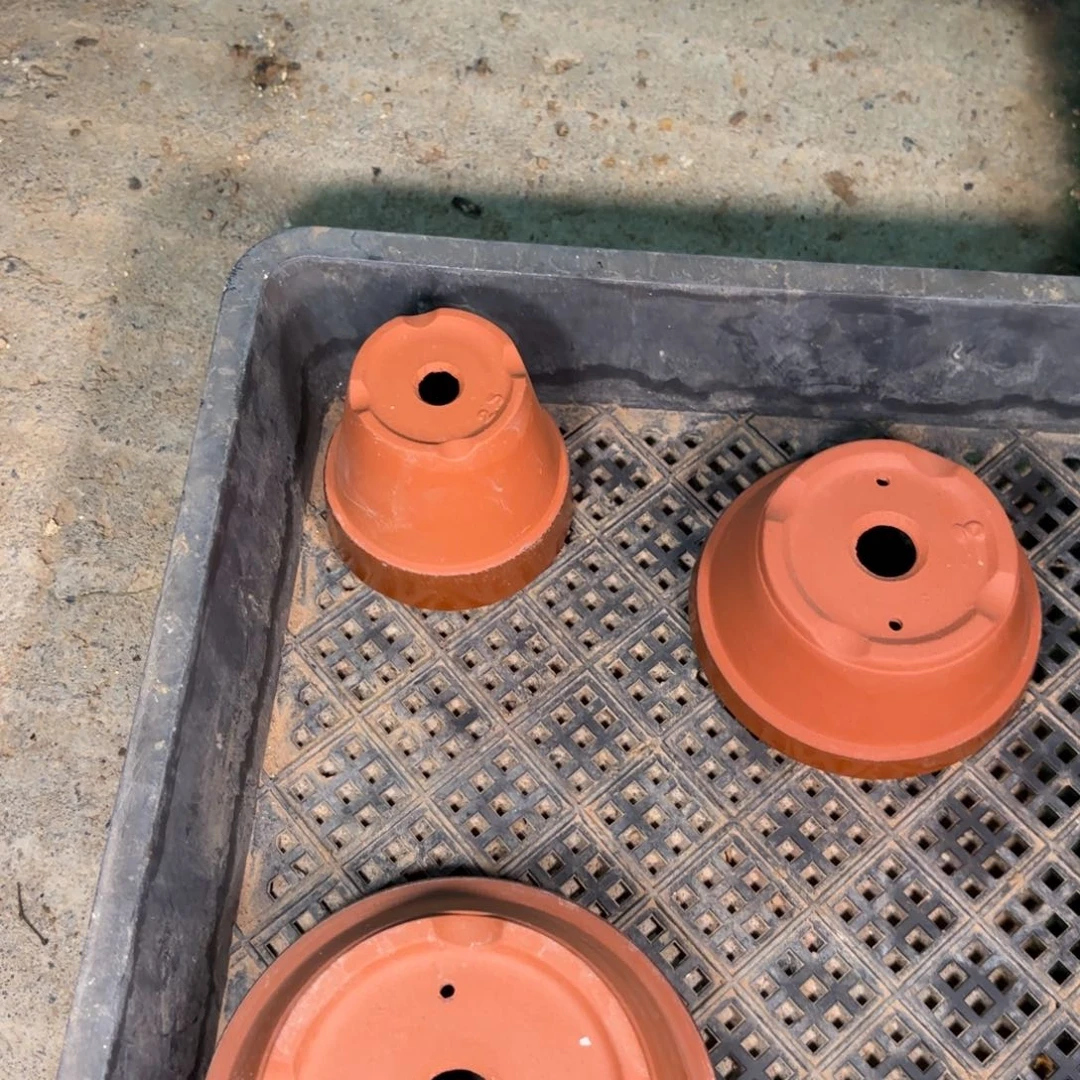 丁**。全场观众热烈鼓掌351号