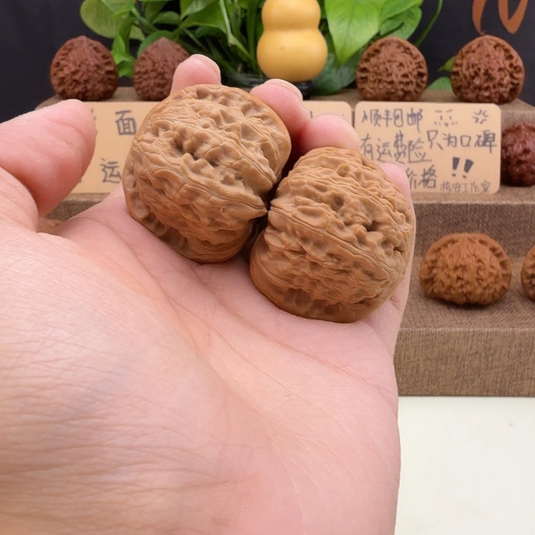 有修白狮子40/42/35