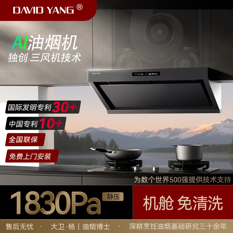 大卫.杨AI油烟机Y2月影灰