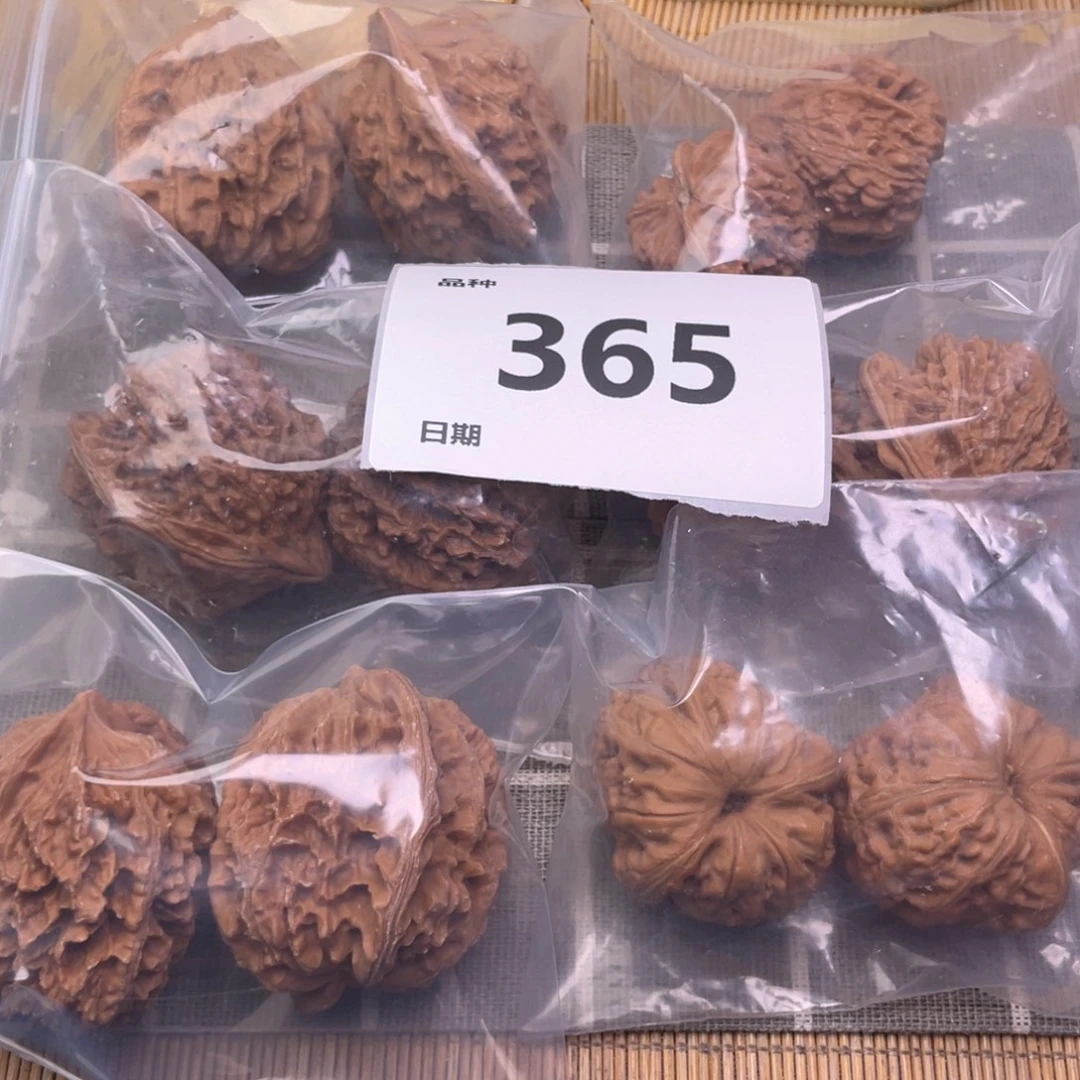 把件文玩核桃365号6对带练手元宝