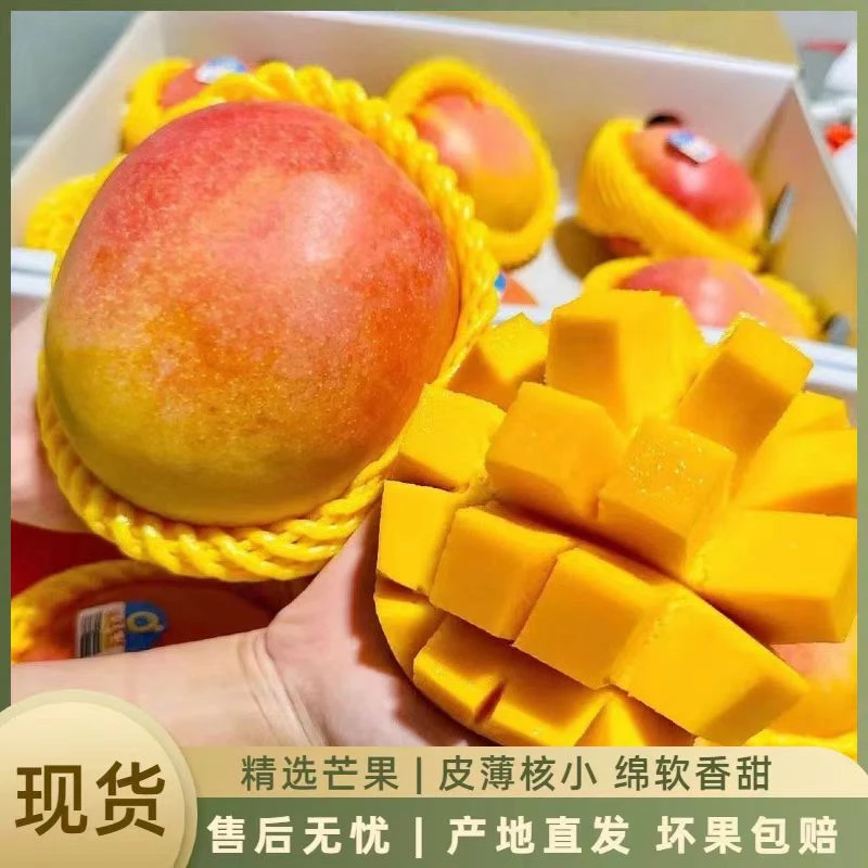 Q【放软后食用】新鲜采摘苹果芒带箱10斤装 坏果包赔