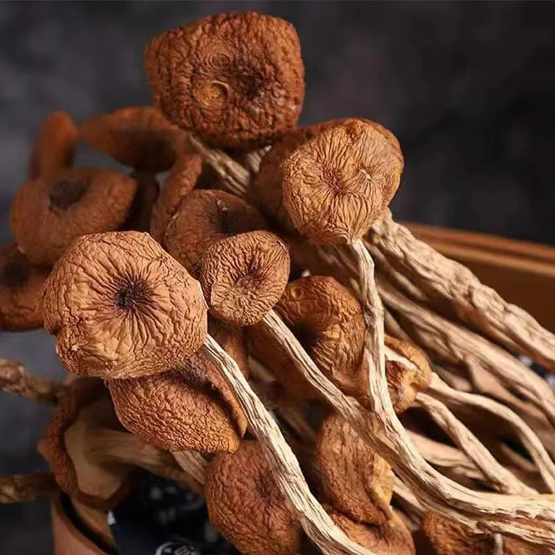 L  优选农家特产茶树菇