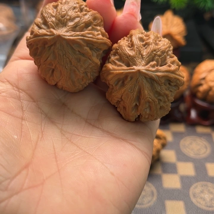 核桃37粗筋文玩核桃