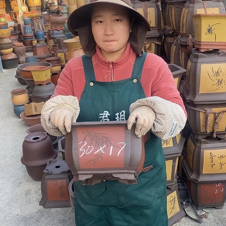 紫砂花盆盆栽花卉苗木种植