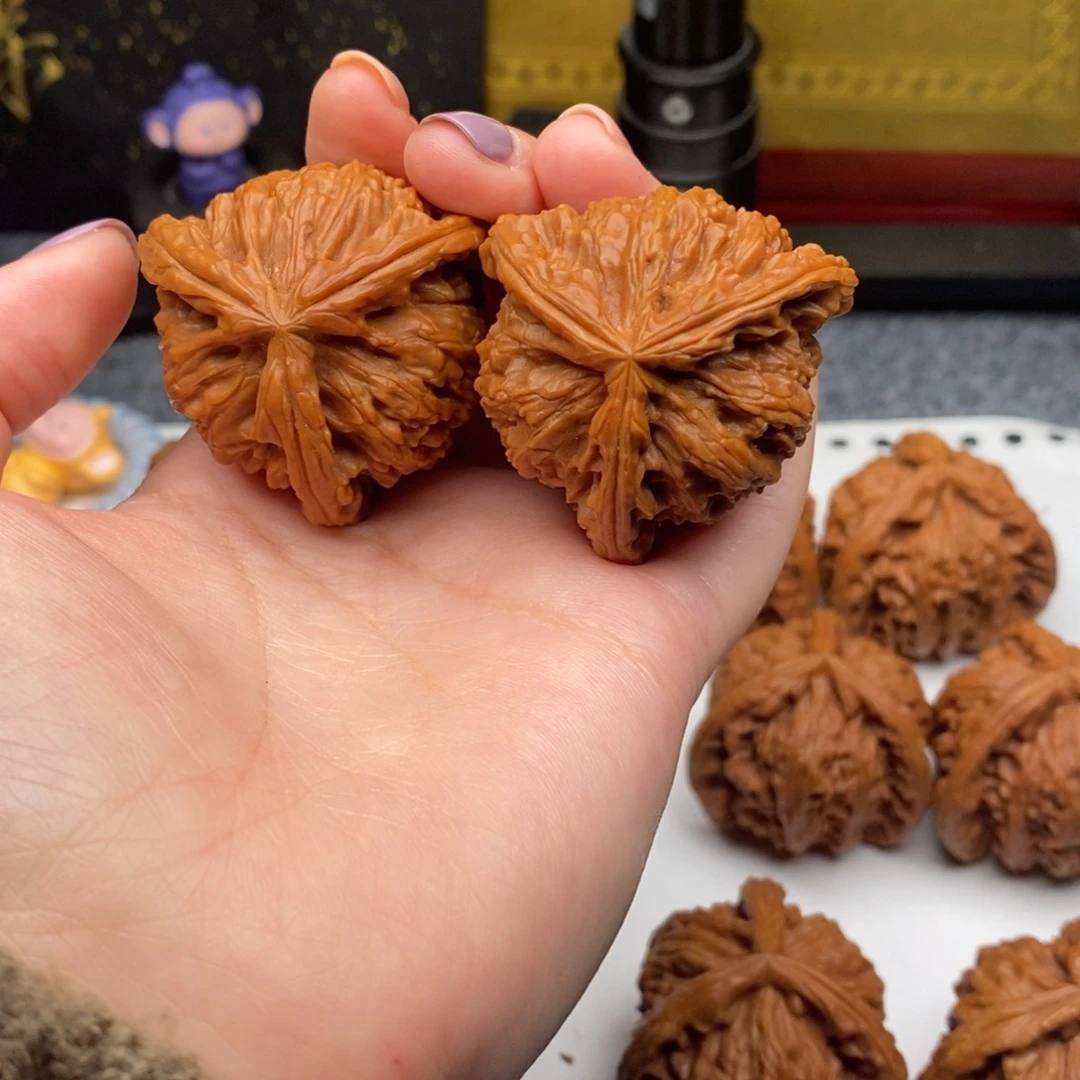 陌**&白狮子111111