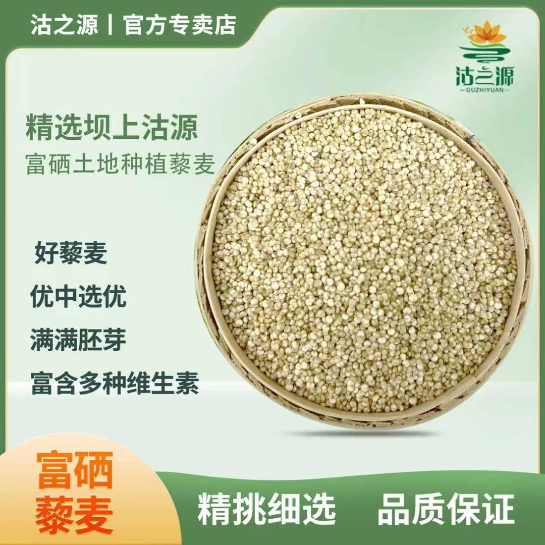 坝上沽源—沽之源白色藜麦