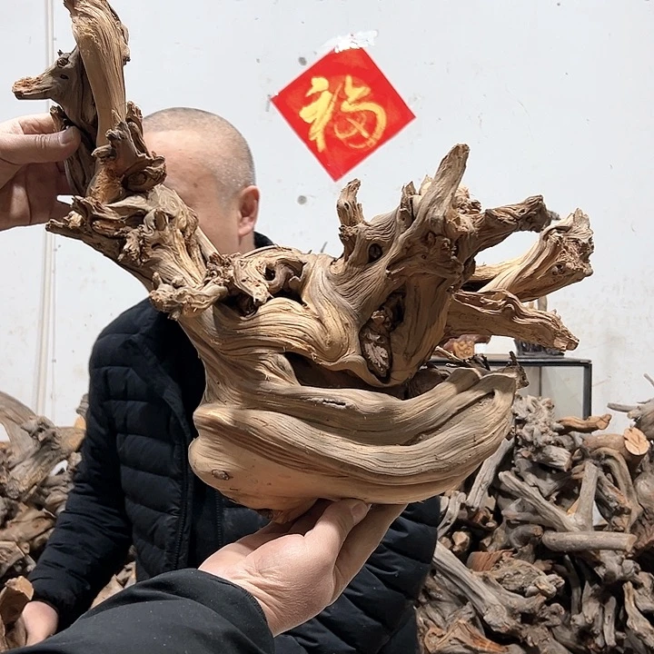 柏木抖*′我们都是好孩子呀我也