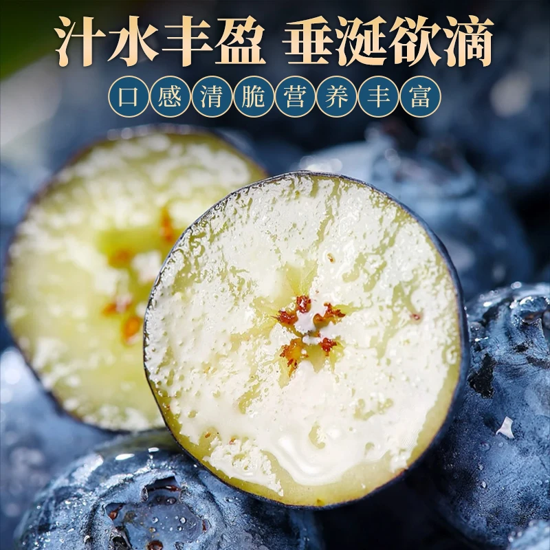 花香蓝莓鲜果产地直发大果特大果丹东基地批发22mm超甜香脆多汁