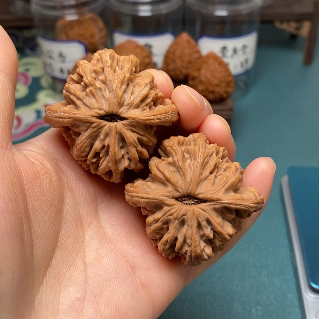 核桃45尺全品狮虎兽