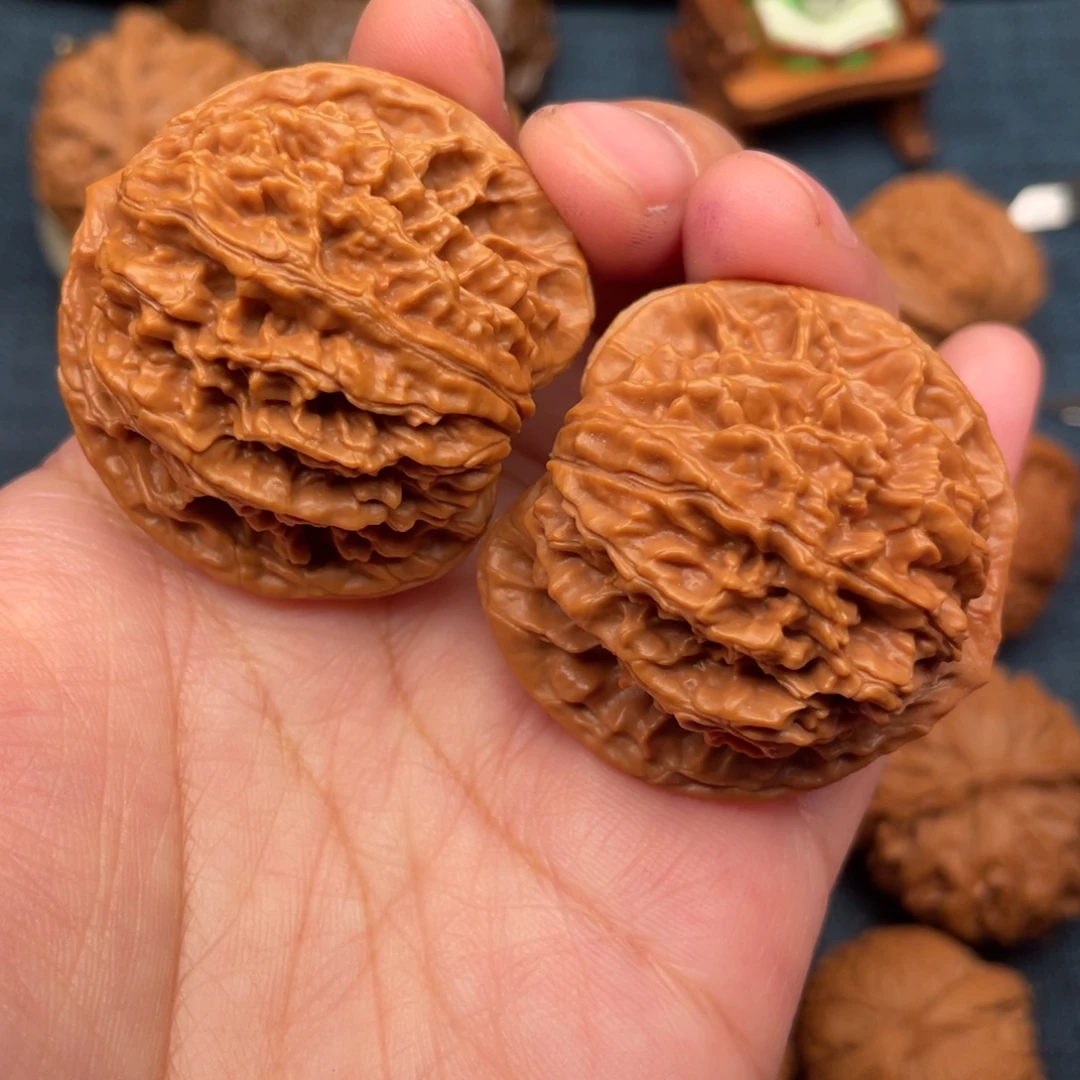 文玩核桃把件42老款盘龙纹全品