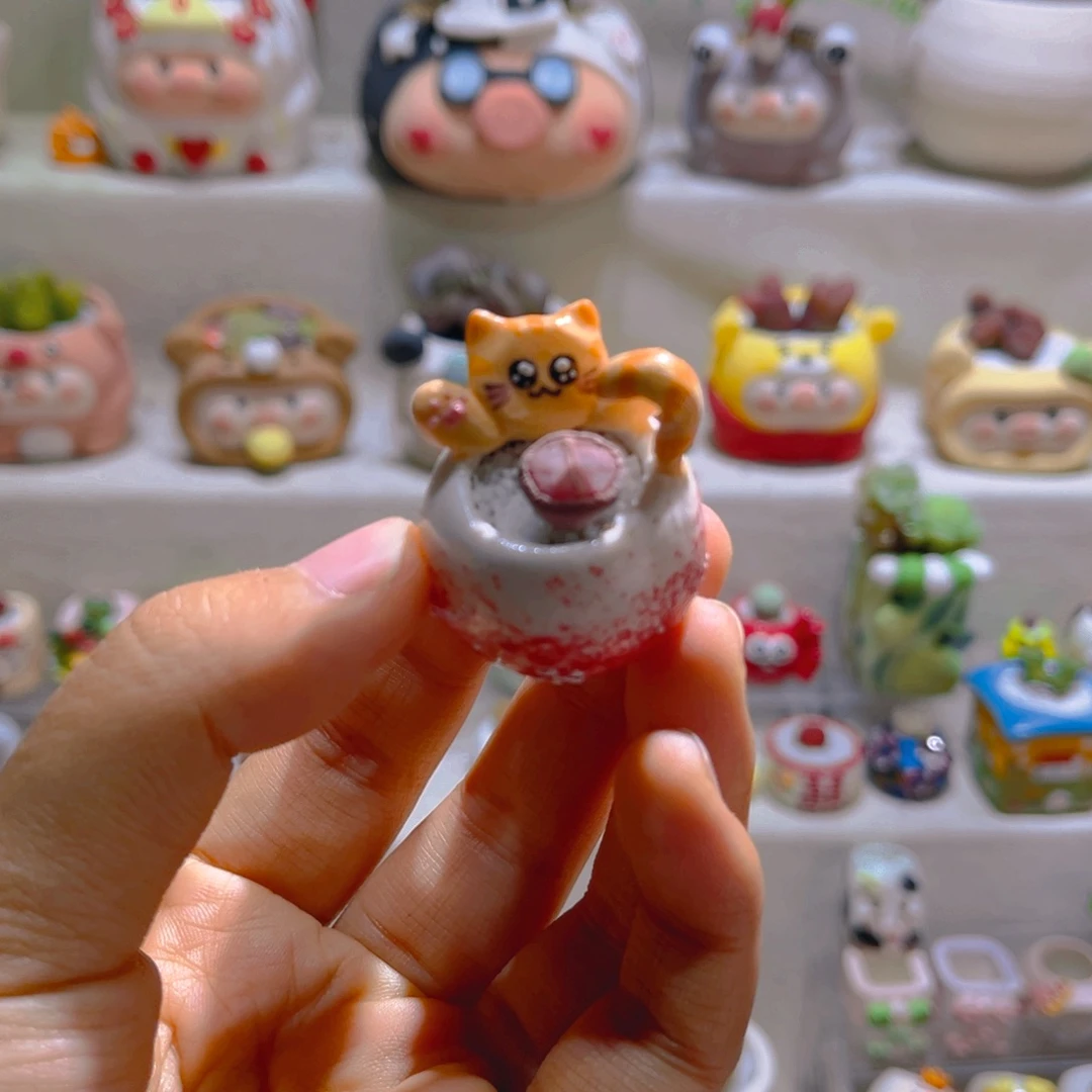 038高端多肉带盆土一套26