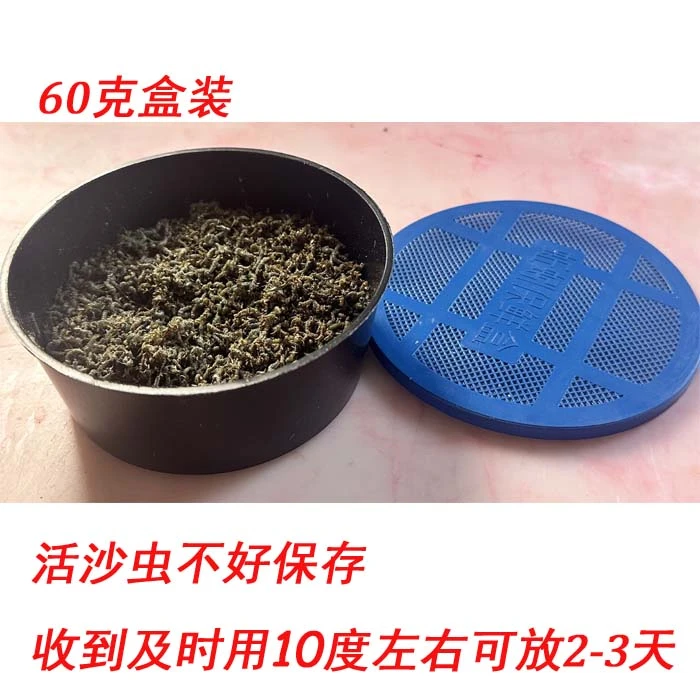 沙虫子鱼饵蚊子幼虫孑孓钓鱼活虫饵