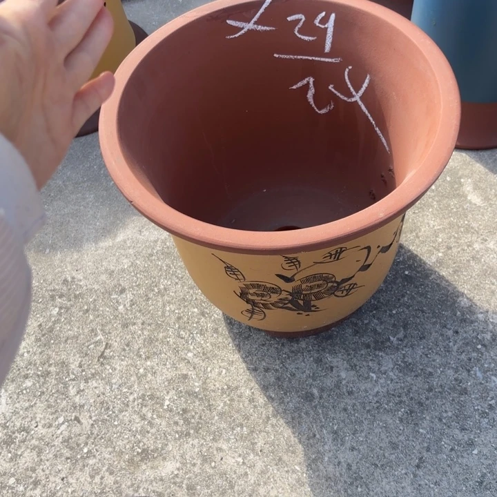 花盆紫砂紫砂的花