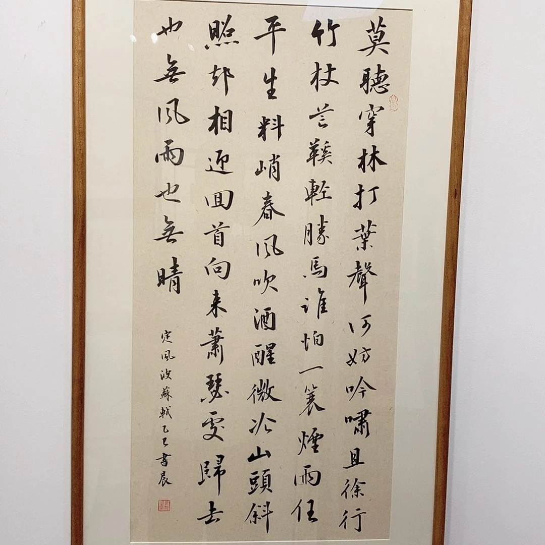 书法4590 定风波 胡桃木 本人手写