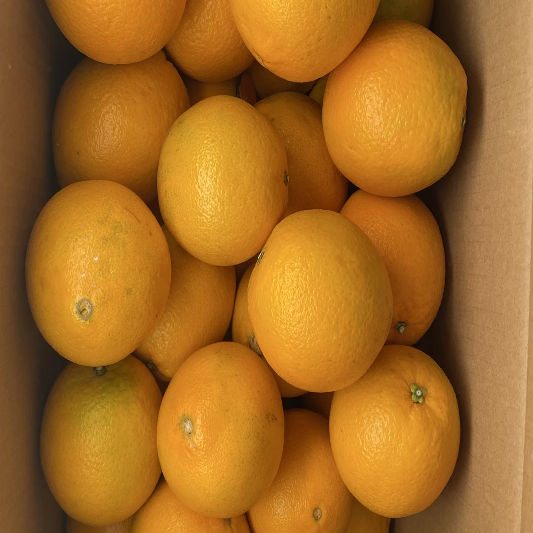 赣南脐橙 10斤 京东包邮