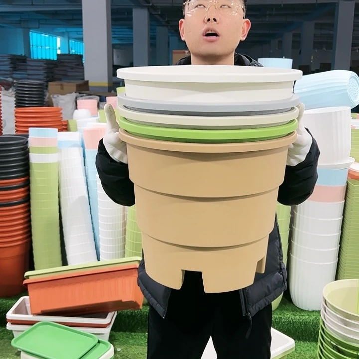 正品蓝莓盆口39高33白色3只无托