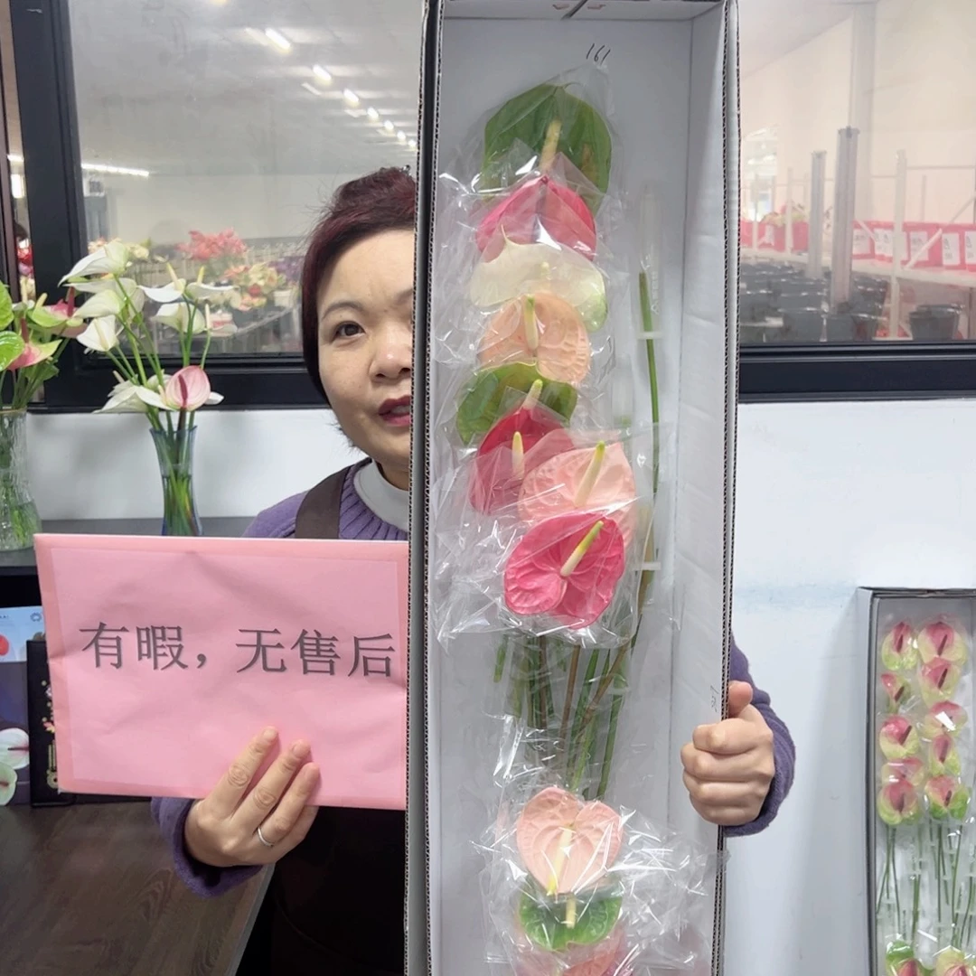 完全开放混色-16枝装无售后款161