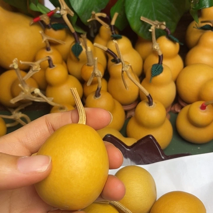 美****瓜葫芦花茶真的好好看