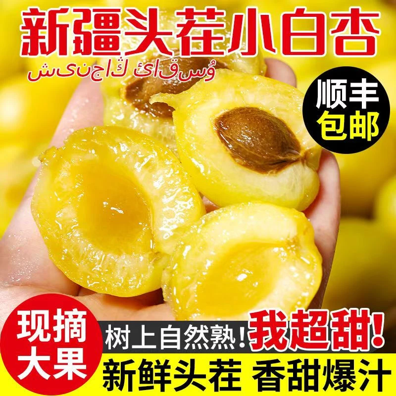 【顺丰包邮】新疆小白杏子新鲜水果甜杏小白杏当季现摘孕妇水果爆甜