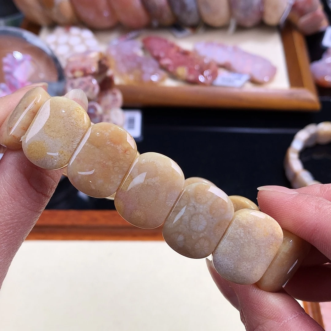 硅化珊瑚（珊瑚玉）未镶嵌3