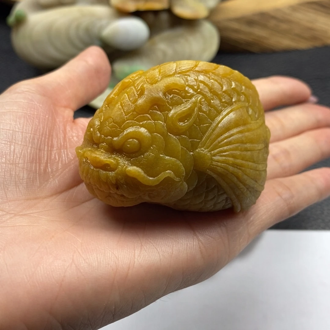 F***b定制翡翠未镶嵌龙鱼