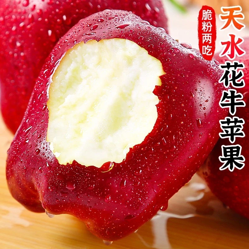 【脆粉两吃】甘肃天水花牛苹果4.5-5斤 新鲜水果香甜可口当季红蛇果