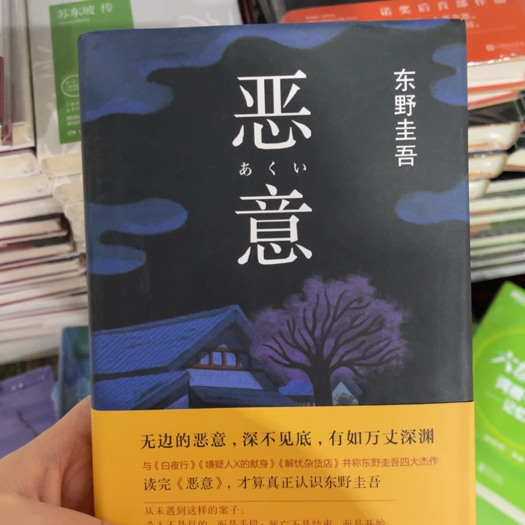 恶意精装一个
