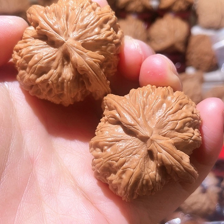 文玩核桃把件全品白狮子41尺