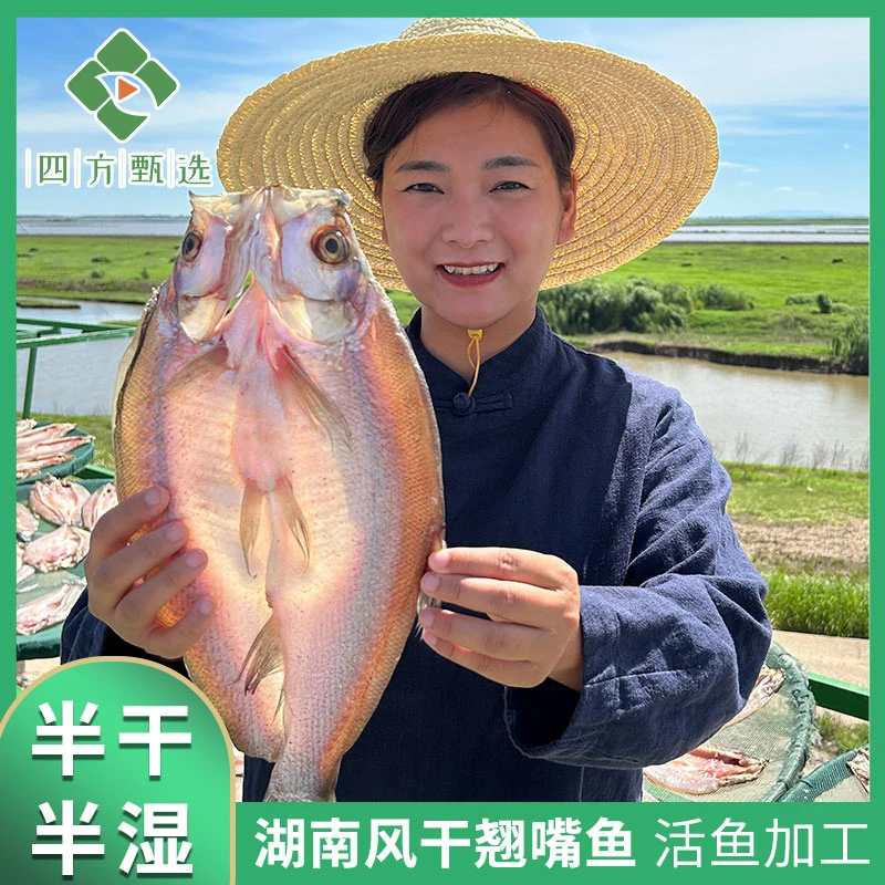【南县老味道】顺丰包邮阳干大白叼开背风吹翘嘴鱼风干鱼