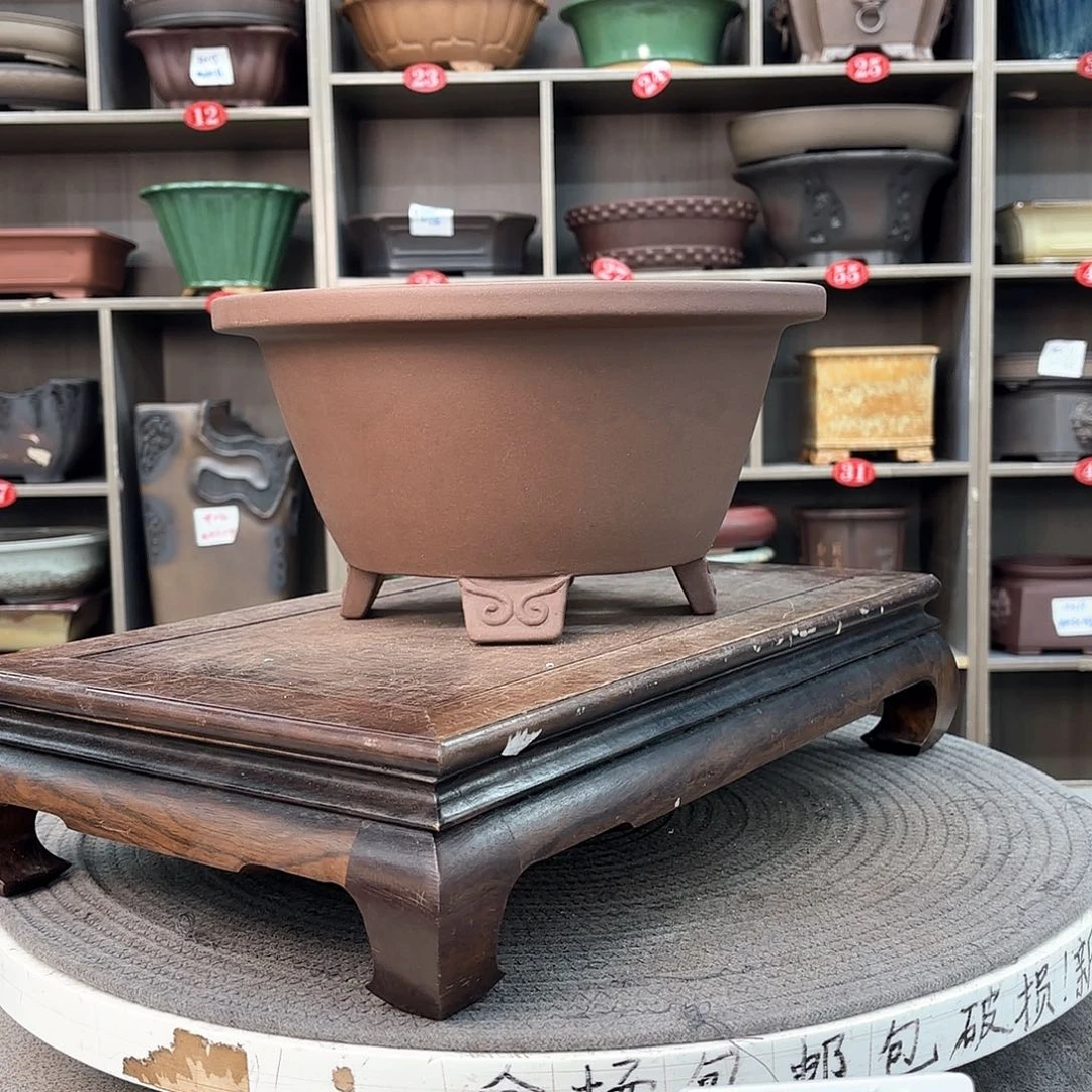 紫砂花盆博*园紫砂的颜色很好看