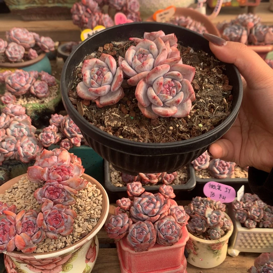 哈哈哈哈哈哈哈哈5