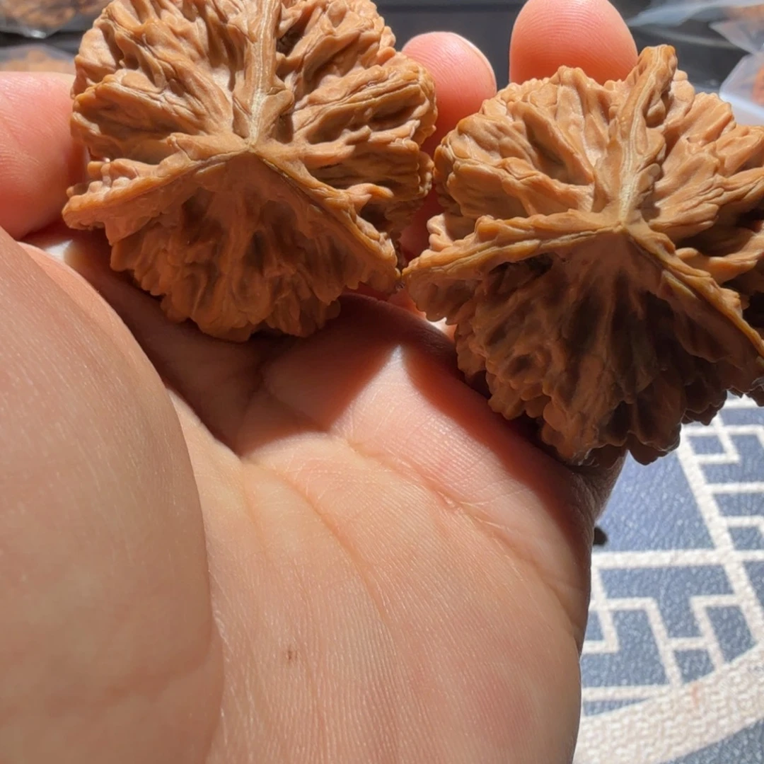 车***复文玩核桃把件帝王三棱
