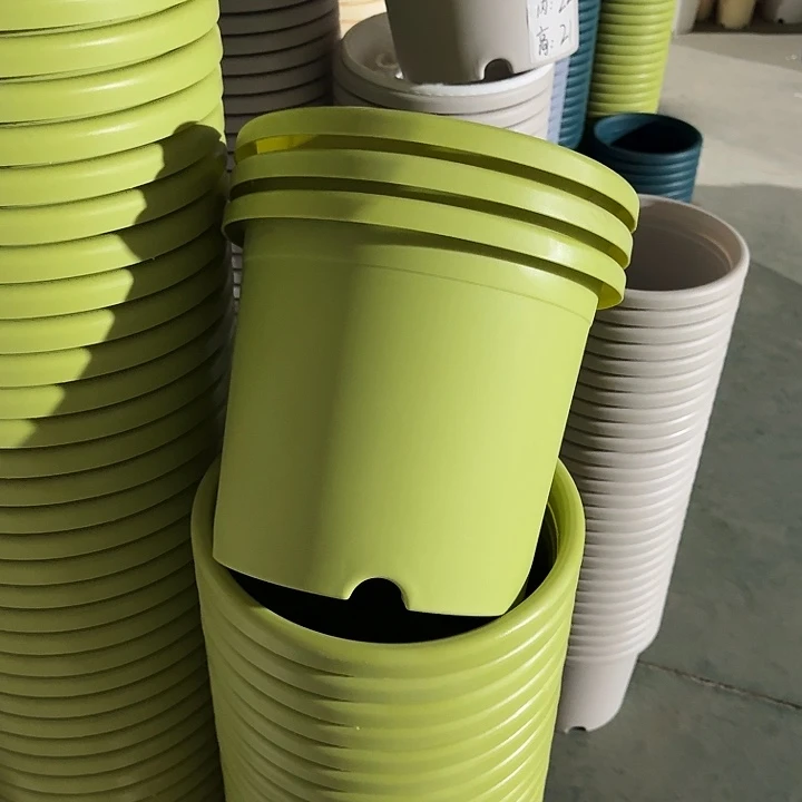 四季5#口径29果绿10个无托