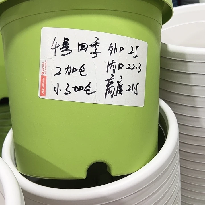 特价4号口25高21.5白色8只无托