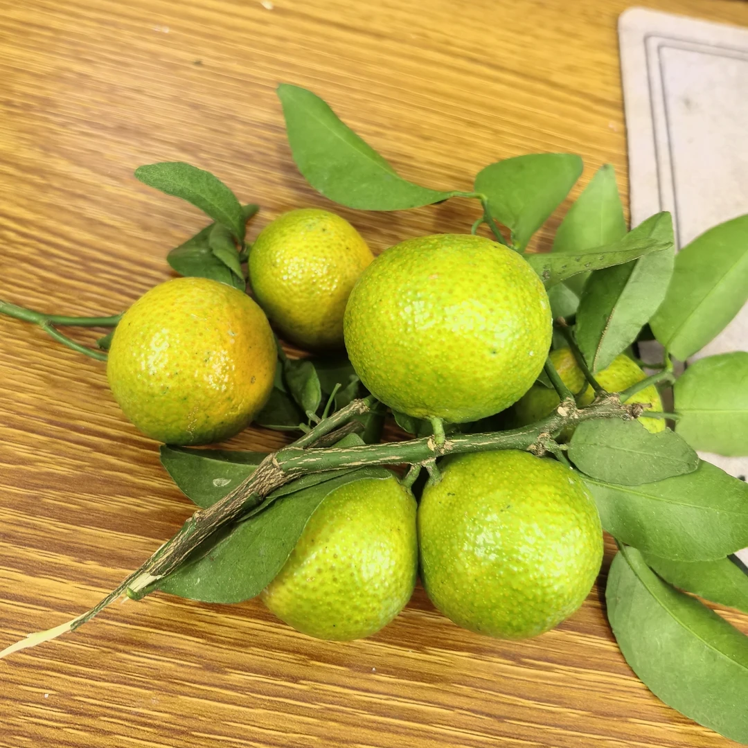 广西桂林砂糖橘 （酸多甜少）适合孕妈妈 产地现摘现发顺丰包邮到家