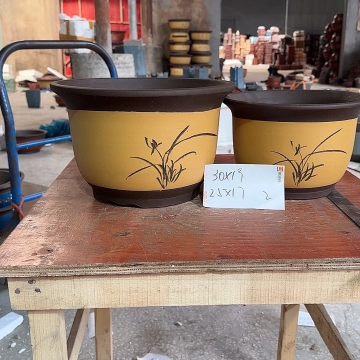 紫砂花盆紫砂花紫砂