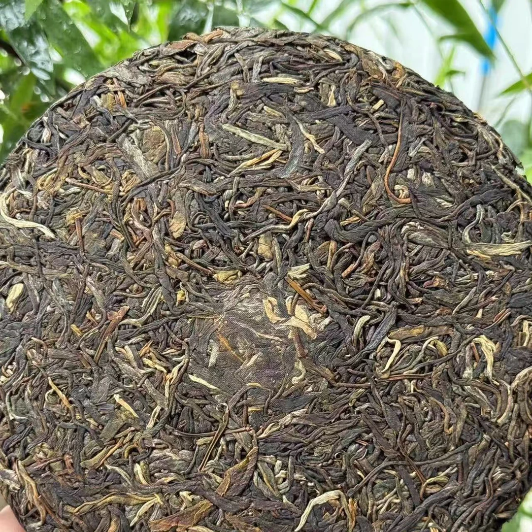 【普洱老家阿晨推荐】2021年普洱古树生茶饼 香香甜甜