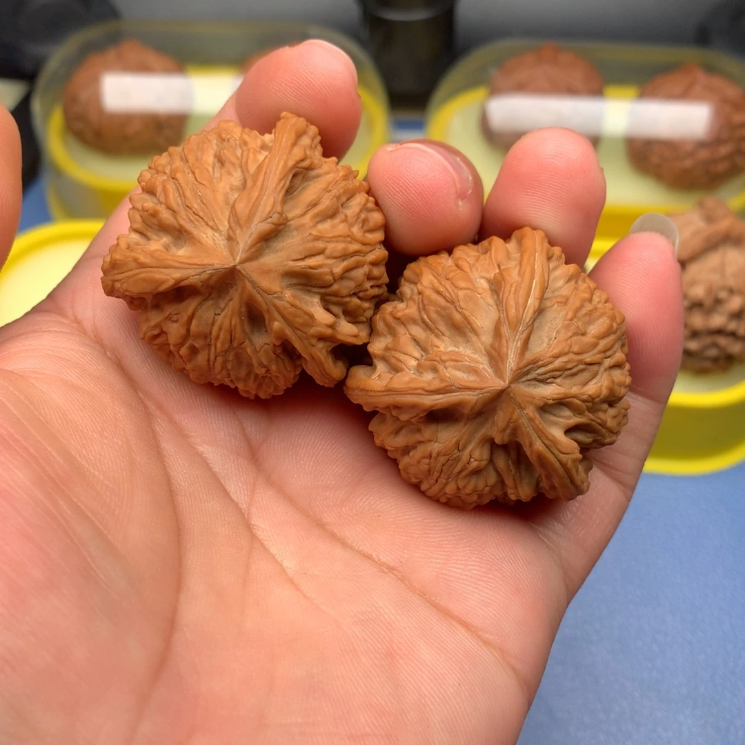 文玩核桃把件御龙奔